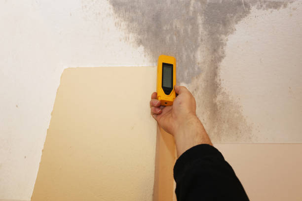 Best Residential Mold Inspection & Testing  in Hinckley, MN