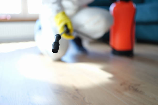 Best Post-Remediation Verification Testing  in Hinckley, MN