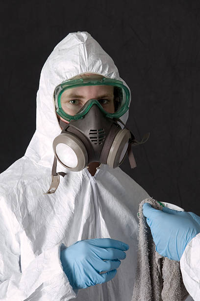 Best Mold Prevention Services  in Hinckley, MN